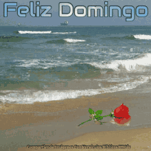 a picture of a beach with the words feliz domingo on the top