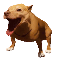 a brown dog is standing with its mouth open