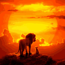 a lion and a baby lion standing on top of a hill watching the sun set