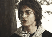 harry potter is wearing glasses and saying `` well , y what ? ''