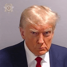 donald trump is wearing a suit and tie and making a face .