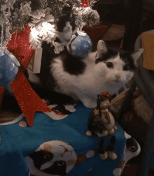 a black and white cat is laying under a christmas tree