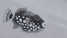 a black and white drawing of a fish with white dots on it