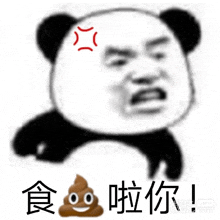 a panda bear with an angry face and a pile of poop