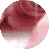 a red circle with a white border and a white background