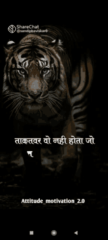 a tiger is walking in the dark with a quote in hindi on the bottom .