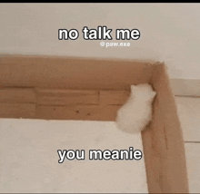 a white kitten is sitting in a cardboard box and says no talk me you meanie .