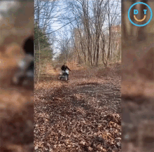 a man is riding a motorcycle on a trail in the woods with a circle with a smiley face on it