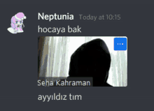 a screenshot of a text conversation between neptunia and seha kahraman