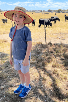 a young boy wearing a straw hat is standing in a field of cows