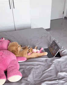 a puppy laying on a bed with a pink teddy bear