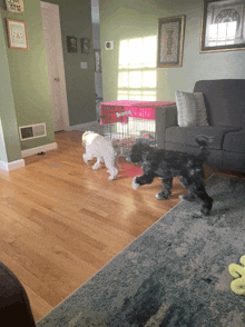 two dogs are playing in a living room with a sign that says " i love you " on the wall