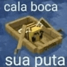 a picture of a raft with the words `` cala boca sua puta '' written on it .