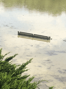 a wooden bench is floating in the water