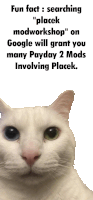 a white cat is looking at the camera with the words fun fact searching " placek modworkshop " on google