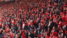 a large crowd of people in a stadium wearing red and white shirts with the number 10 on the front