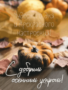 a greeting card with a pumpkin and leaves says good morning