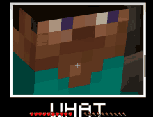 a picture of a minecraft character with the words what written below it