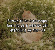 a cat laying in the grass with the words forced to be a teenager born to be a warrior cat defending my clan 3