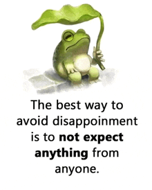 a frog holding a green leaf with the words the best way to avoid disappointment is to not expect anything from anyone below