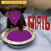 a cat is standing next to a bowl of purple liquid and a sign that says " блять " on it