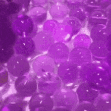 a person is playing with a bunch of purple balls in a pool .