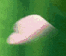 a pink heart shaped object is flying through the air on a green background .