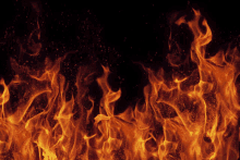 a close up of a fire on a dark background