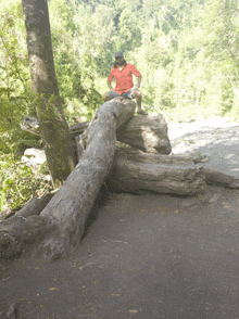 a man sitting on a log in the woods