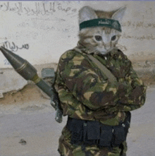 a cat dressed as a soldier holding a rocket