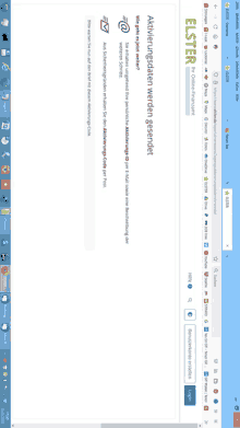a computer screen shows a page that says elster at the top