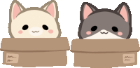 two cats are sitting in cardboard boxes with a label that says " mm "