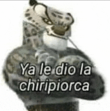 a picture of a leopard with the words `` ya le dio la chiripiorca '' on it .