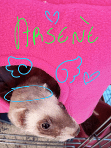 a ferret is looking out of a pink blanket with the word pasene written on it