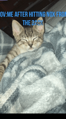 a kitten is sleeping on a blanket with the words " ov me after hitting nox from the front "