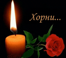 a burning candle next to a red rose with the word " horhu " written above it