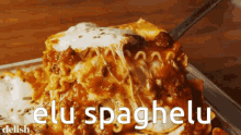 a close up of a casserole dish with the words elu spaghelu written on the bottom