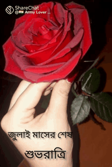 a person holding a red rose with a sharechat army lover written on the bottom