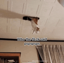 a cat is hanging upside down from the ceiling with the caption who the f & ck said pspspsps