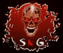 a picture of a skull and the word sng