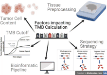 a diagram showing the process of tissue preprocessing and sequencing