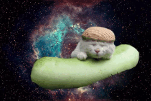 a cat wearing a knitted hat is floating on top of a cucumber