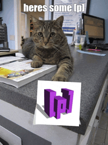 a cat laying on a desk with a picture of a purple block that says heres some ip