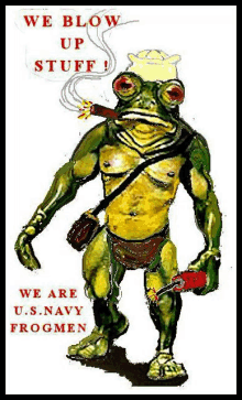 a frog smoking a cigar with the words " we blow up stuff " above it