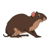 a drawing of a small brown animal with a pink ear