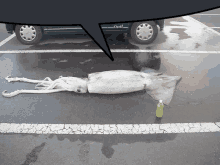 a large squid is laying on the ground in a parking lot next to a bottle of green tea