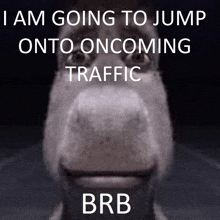 a picture of a horse with the words i am going to jump onto oncoming traffic brb