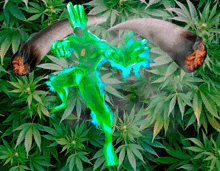 a green figure is surrounded by marijuana plants