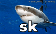 a picture of a great white shark with the word sk below it