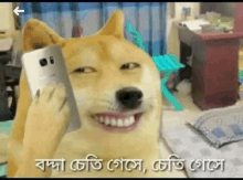 a dog is talking on a cell phone in a bedroom .